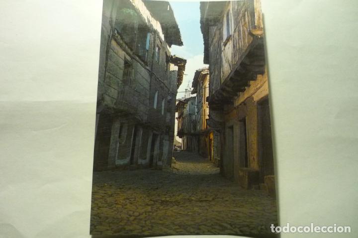 Postales: POSTAL LA ALBERCA .-CALLE TIPICA