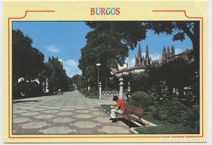 Postales: N&ordm; 71-BURGOS. Paseo del Espol&oacute;n. Sin circular. EDICIONES ARRIBAS