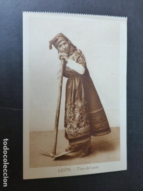 Postales: LEON TIPO DEL PAIS - Foto 1