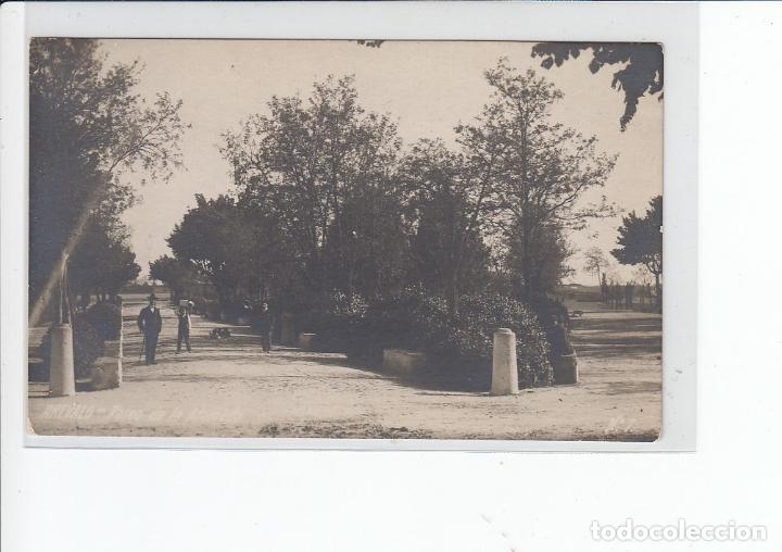 Postales: AREVALO (AVILA).- PASEO DE LA ALAMEDA (FOTOGR&Aacute;FICA)