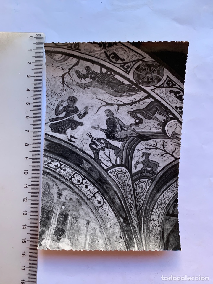 Postales: POSTAL. REAL COLEGIATA DE S. IDIDORO. LEON. PANTE&Oacute;N DE REYES. EDICION DEL ILMO. CABILDO COLEGIAL.