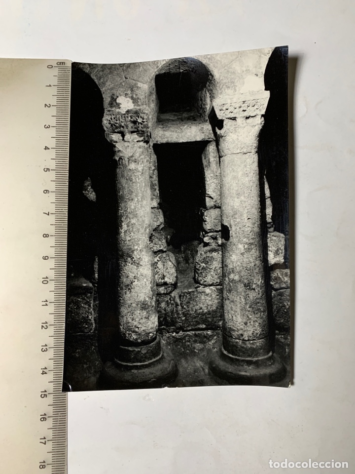 Postales: POSTAL. PALENCIA. CRIPTA CATEDRAL. EDICIONES SICILIA. - Foto 1