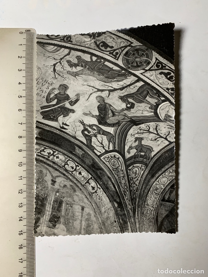 Postales: POSTAL. REAL COLEGIATA DE SAN ISIDORO. LEON. PANTE&Oacute;N DE REYES. EDICION DEL ILMO. CABILDO COLEGIAL.