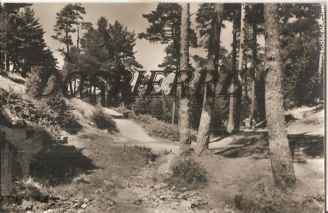 Postales: POSTAL, SAN RAFAEL-SEGOVIA, PAISAJE, ED. HELIOTIPIA N&ordm; 10, CIRCULADA