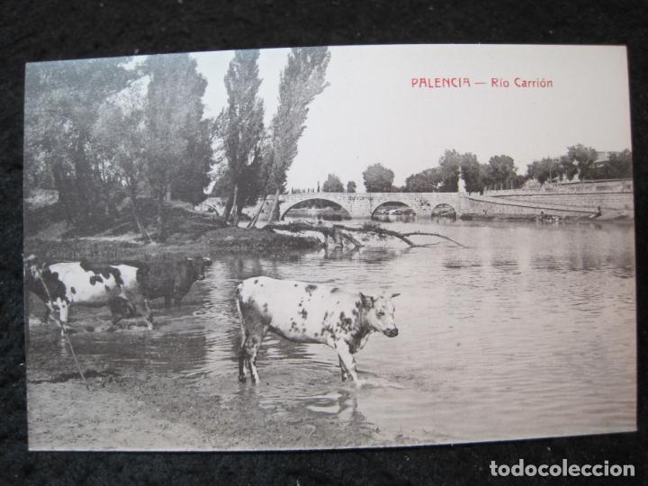 Postales: PALENCIA-RIO CARRION-VACAS-POSTAL ANTIGUA-(94.136)