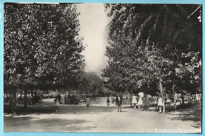 Postkarten: 10. HERRERA DE PISUERGA. PARQUE MUNICIPAL DE RECREO. HELIOT&Iacute;PIA ART&Iacute;STICA ESPA&Ntilde;OLA. FOTO A. DE IN&Eacute;S