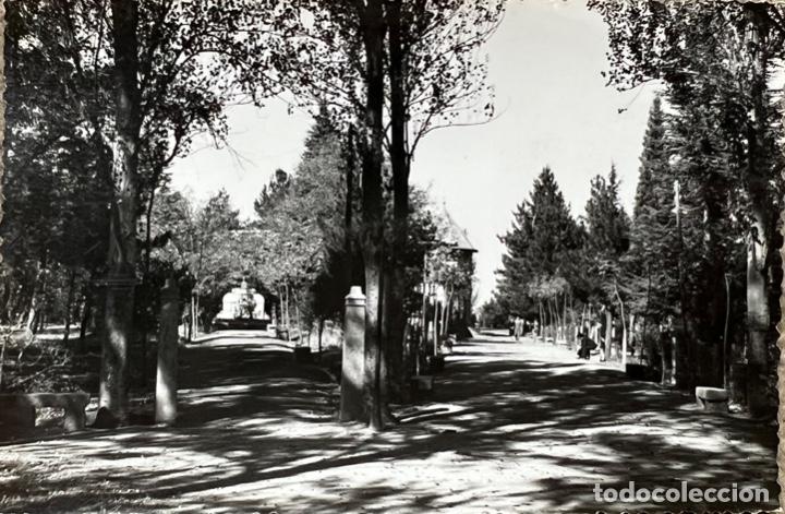 Postales: Candelario - Salamanca - El Parque (Laboratorio Fotogr&aacute;fico Montagut)