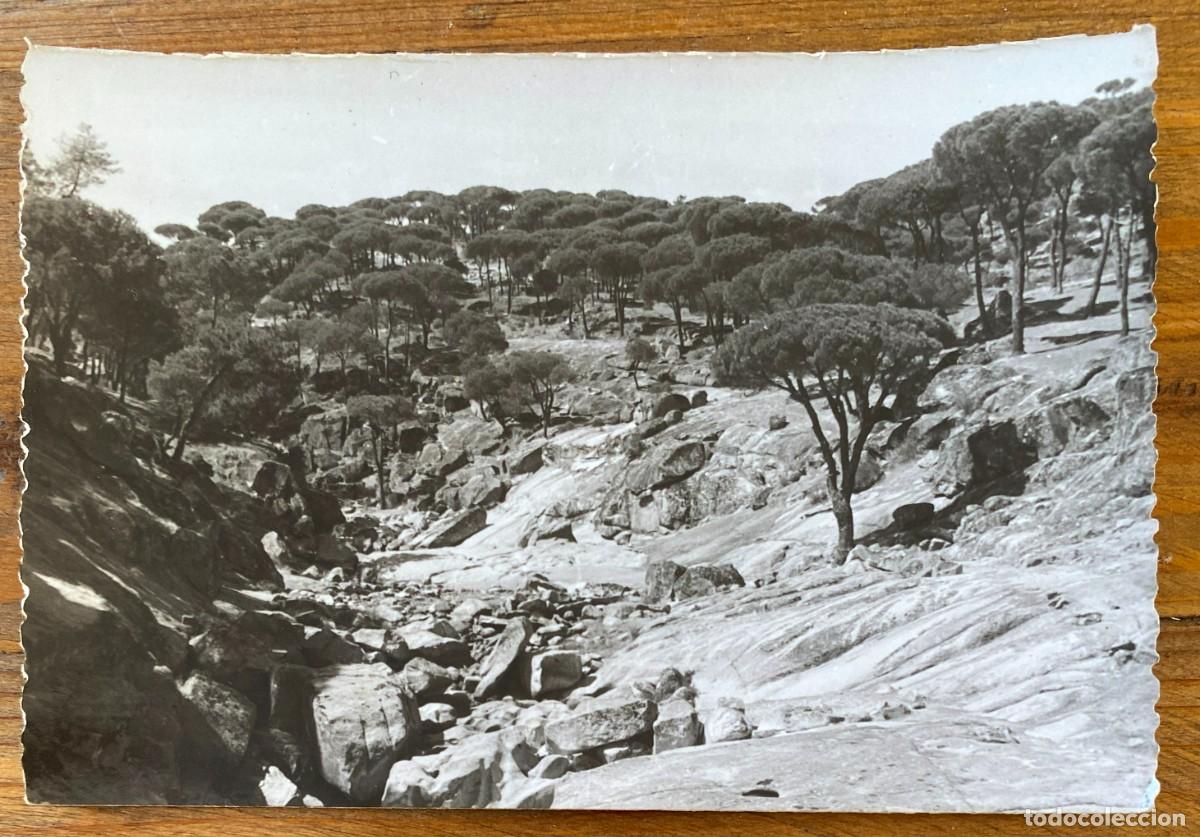 Postales: FOTO POSTAL DE HOYO DE PINARES, AVILA, ED. ALBERTO, NO CIRCULADA, ESCRITA.