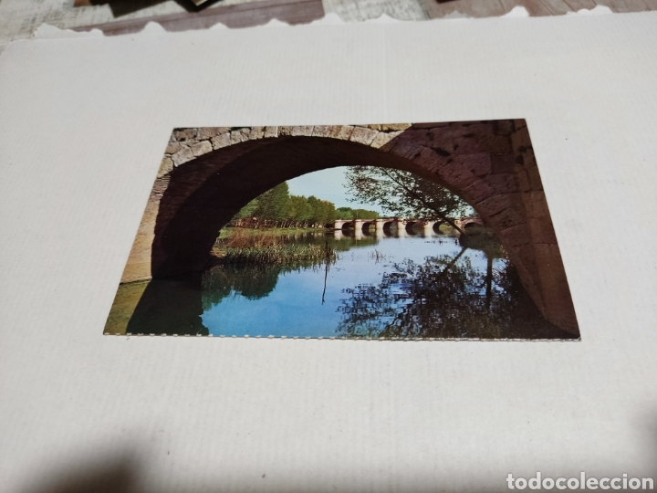 Postales: Postal Palencia Puente - Foto 1