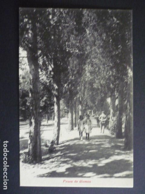 Cartoline: BALNEARIO DE SANTA TERESA AVILA PASEO DE ALAMOS