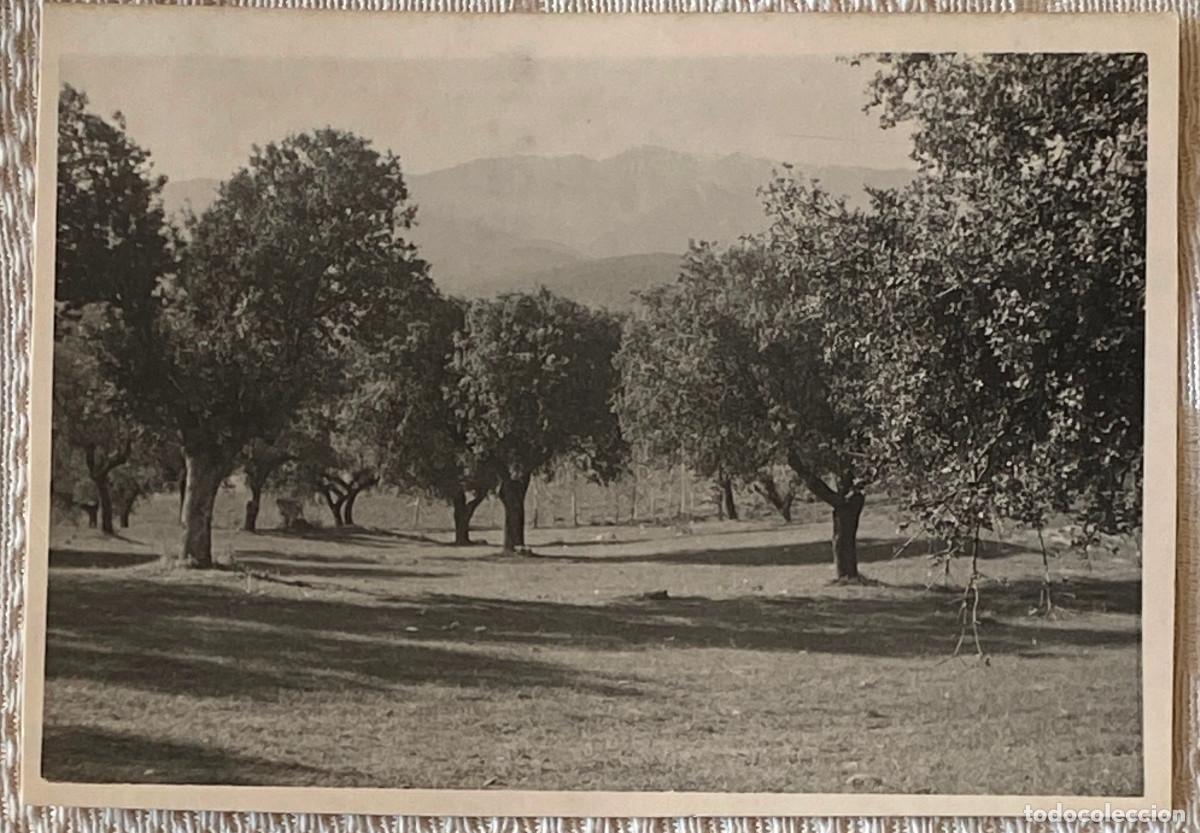 Postcards: FOTOGRAF&Iacute;A DE ARENAS DE SAN PEDRO, AVILA, A&Ntilde;O 1967, MIDE 10,5 X 7,5 CMS.