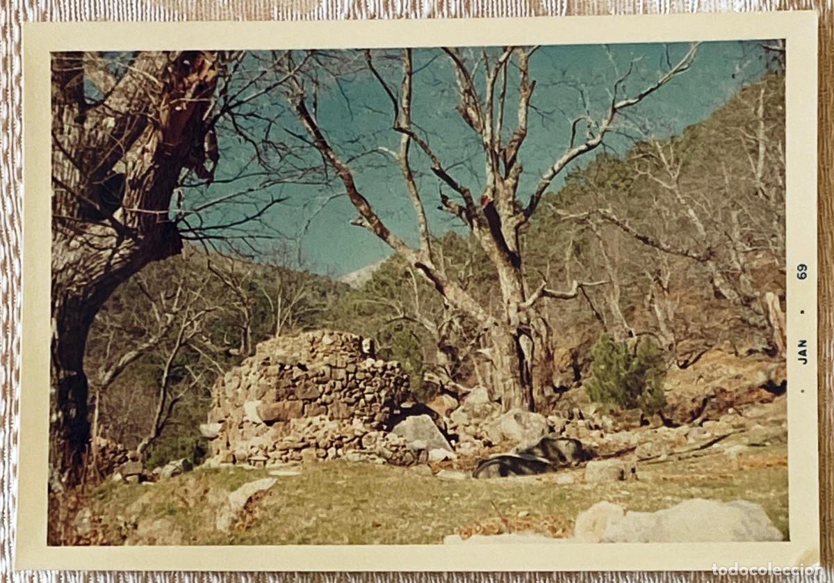 Postcards: FOTOGRAF&Iacute;A DE PIEDRALAVES, AVILA, A&Ntilde;O 1968, TAMA&Ntilde;O POSTAL.