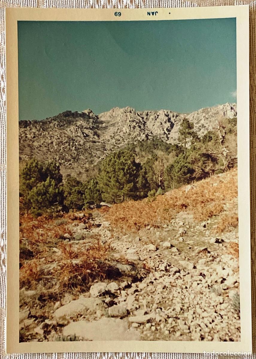 Postcards: FOTOGRAF&Iacute;A DE PIEDRALAVES, AVILA, A&Ntilde;O 1968, TAMA&Ntilde;O POSTAL.