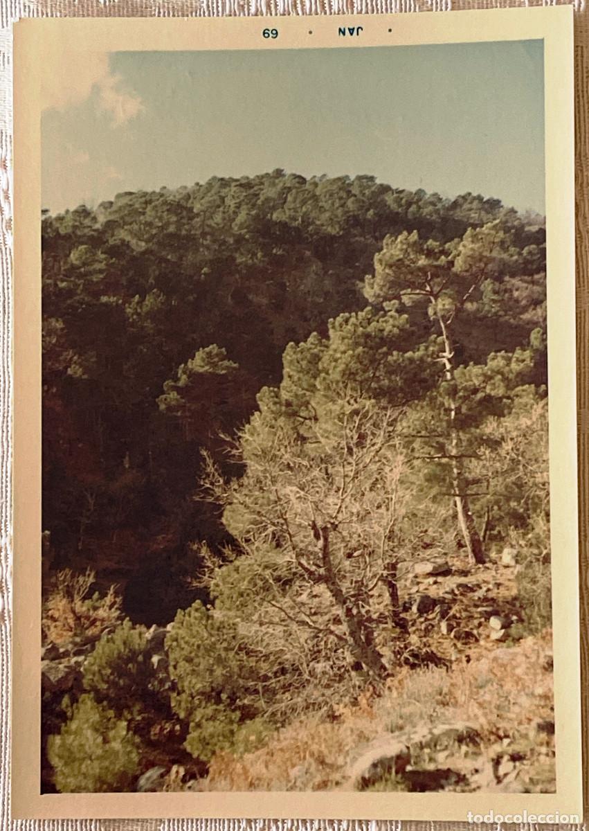 Postcards: FOTOGRAF&Iacute;A DE PIEDRALAVES, AVILA, A&Ntilde;O 1968, TAMA&Ntilde;O POSTAL.
