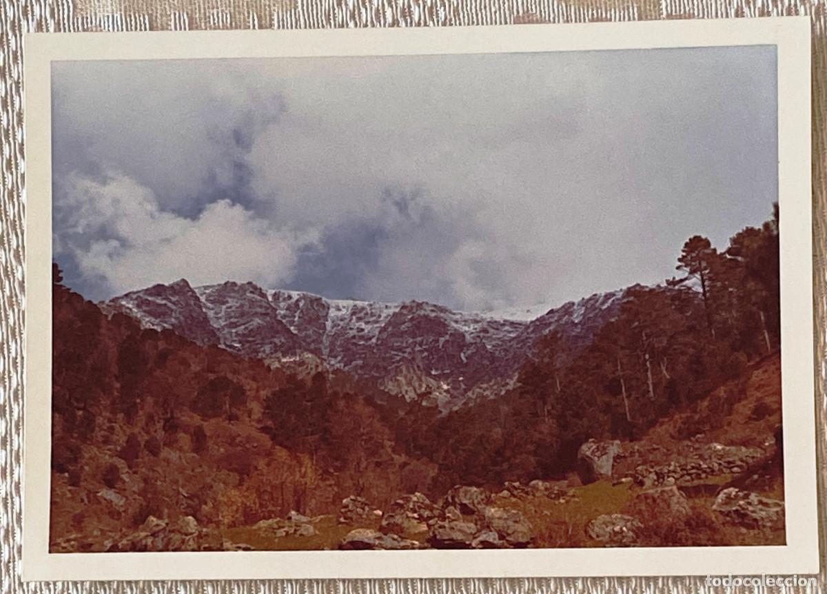 Postcards: FOTOGRAF&Iacute;A DE PIEDRALAVES, AVILA, A&Ntilde;O 1969, TAMA&Ntilde;O POSTAL.