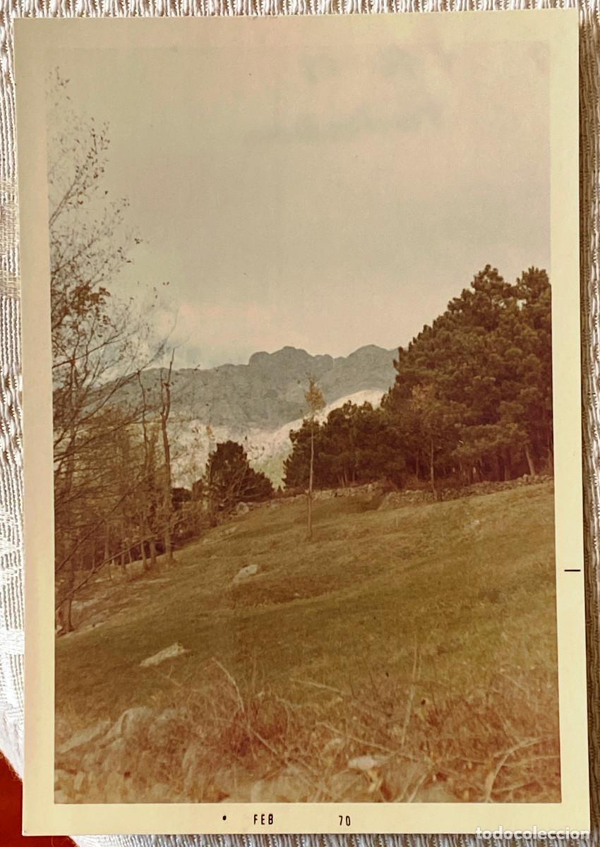 Postcards: FOTOGRAF&Iacute;A DE PIEDRALAVES, AVILA, A&Ntilde;O 1969, TAMA&Ntilde;O POSTAL.