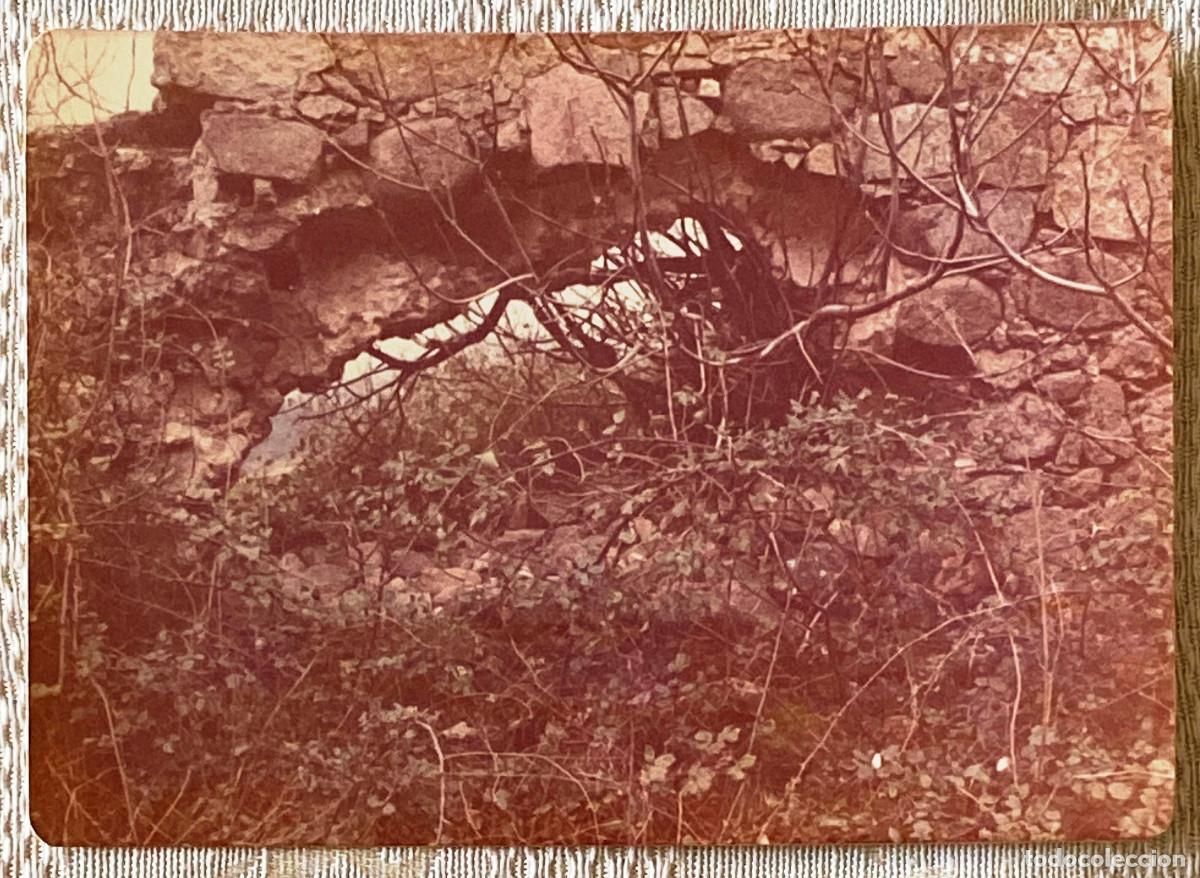 Postcards: FOTOGRAF&Iacute;A DE LA ADRADA, AVILA, A&Ntilde;O 1975, TAMA&Ntilde;O POSTAL.