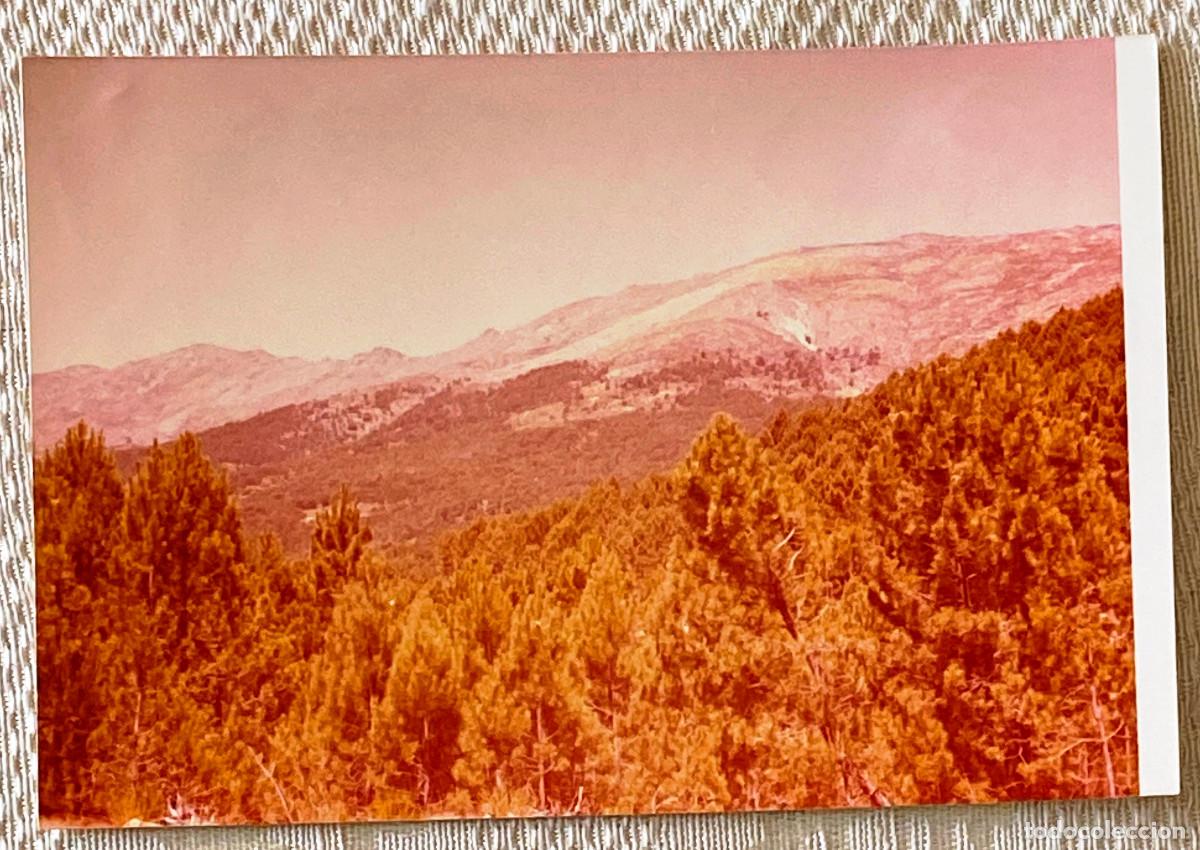 Postais: FOTOGRAF&Iacute;A DE LA ADRADA, AVILA, A&Ntilde;O 1975, TAMA&Ntilde;O POSTAL.