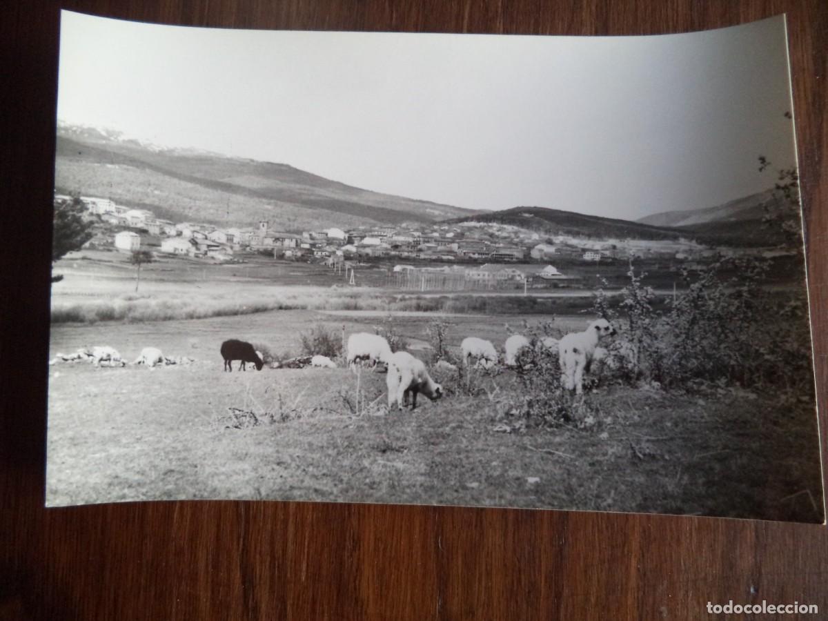Postales: Postal Quintanar de la Sierra. - Foto 1