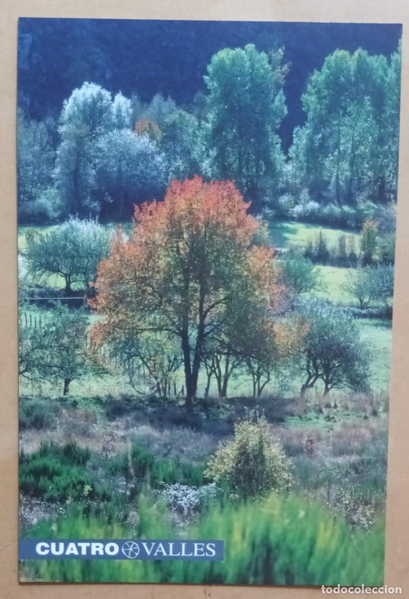 Postales: POSTAL - PAISAJE - COMARCA DE OMA&Ntilde;A