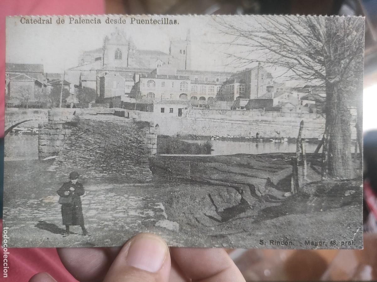Postales: Postal Catedral de Palencia desde Puentecillas N 19 DIARIO PALENTINO SC reproducci&oacute;n