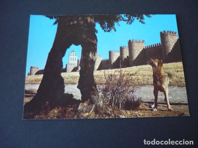 Postales: AVILA - Foto 1