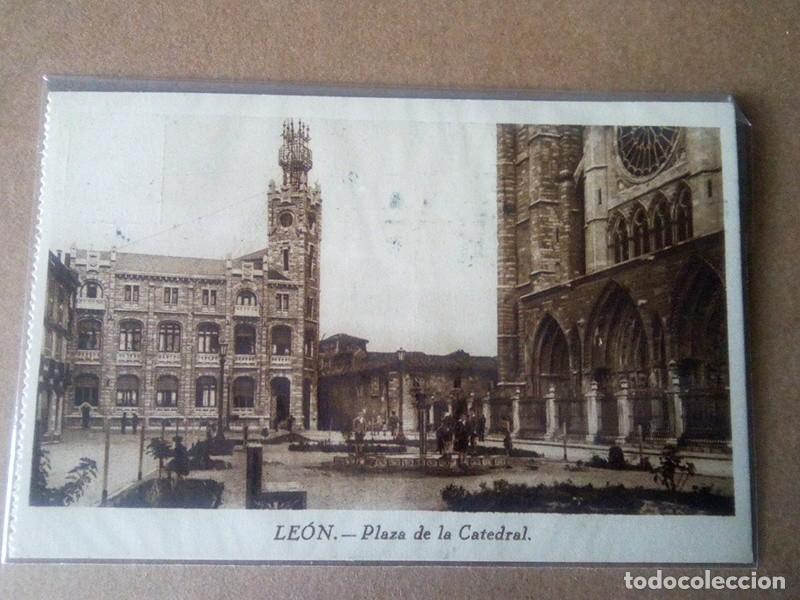 Postales: LEON , POSTAL ANTIGUA ANIMADA , BLANCO Y NEGRO, - Foto 1
