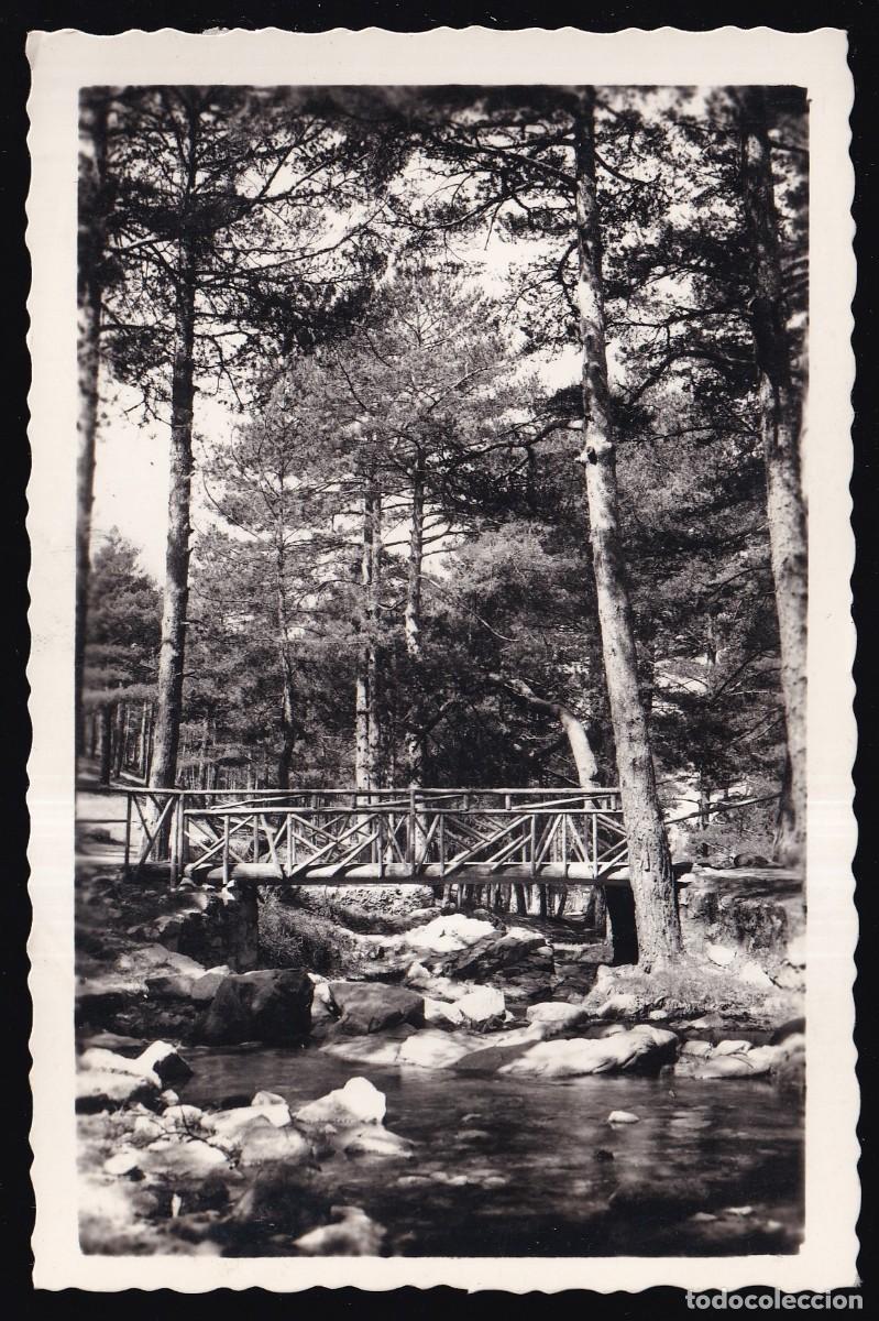 Postales: San Rafael. *Puente de los Ingenieros en el Pinar* Nueva.