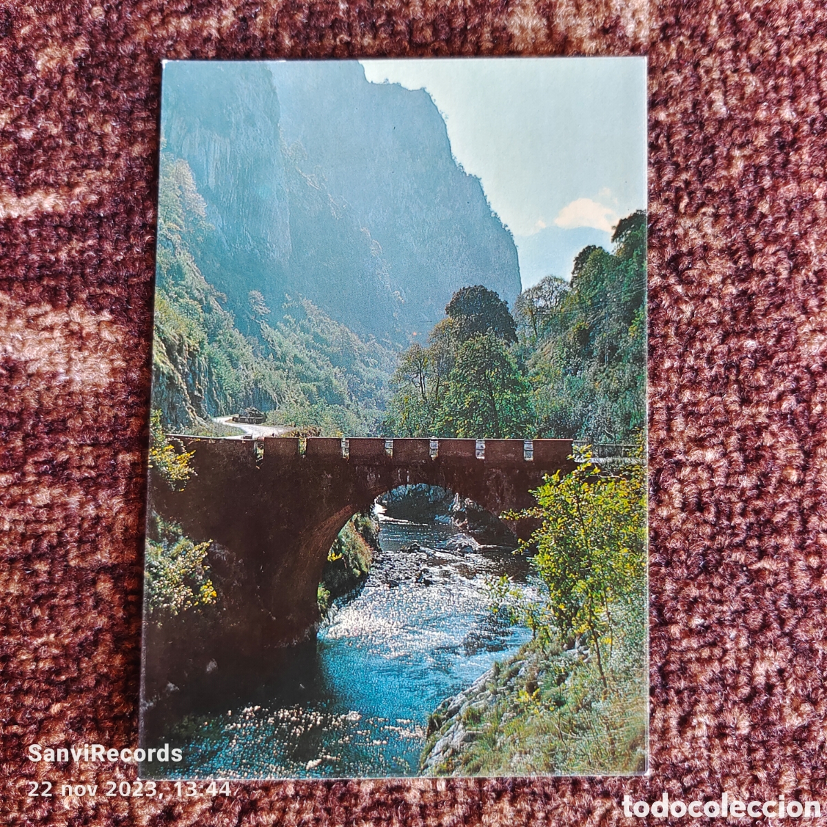 Postales: POSTAL: PICOS DE EUROPA, RIO CARES