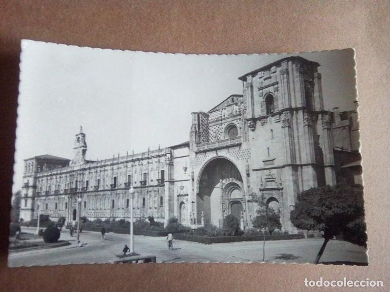 Postales: LEON , POSTAL ANTIGUA ANIMADA , BLANCO Y NEGRO - Foto 1
