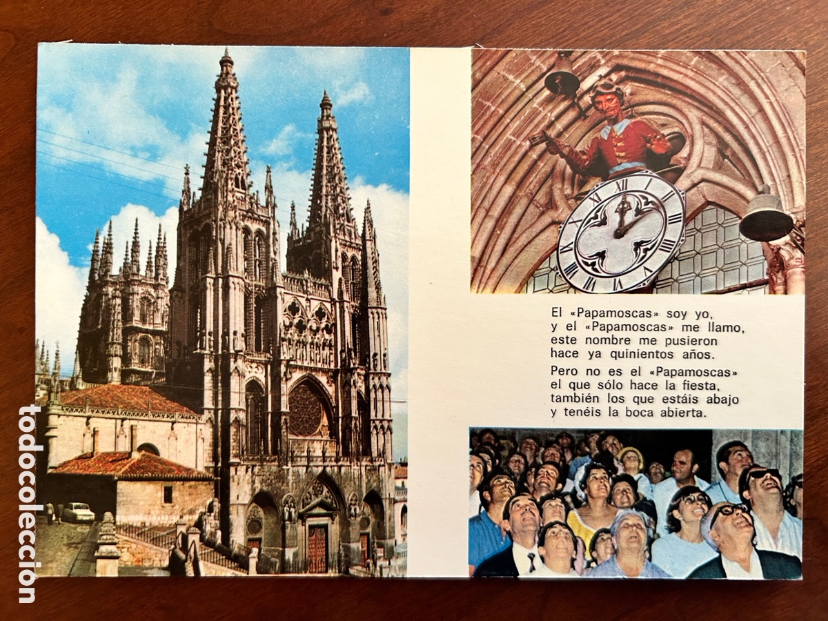 Postales: 2 POSTALES BURGOS. PAPAMOSCAS Y MONASTERIO DE HUELGAS. SIN CIRCULAR.