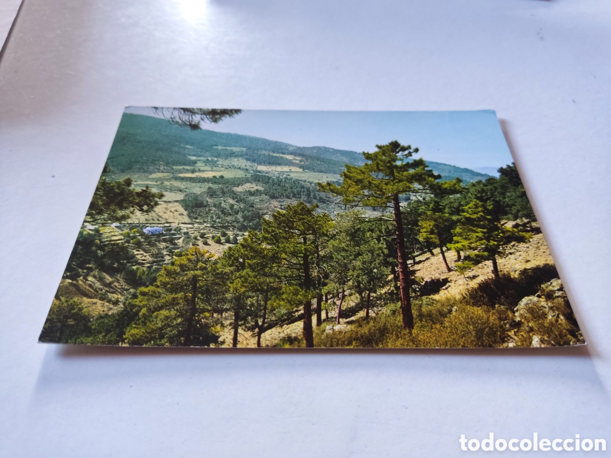 Postales: Postal El Tiemblo - Foto 1