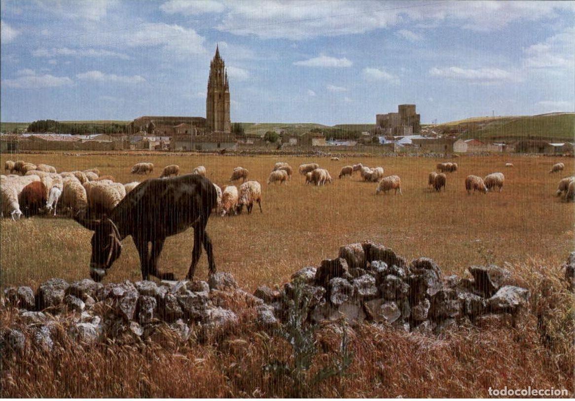 Postales: Ampudia - Palencia - Foto 1