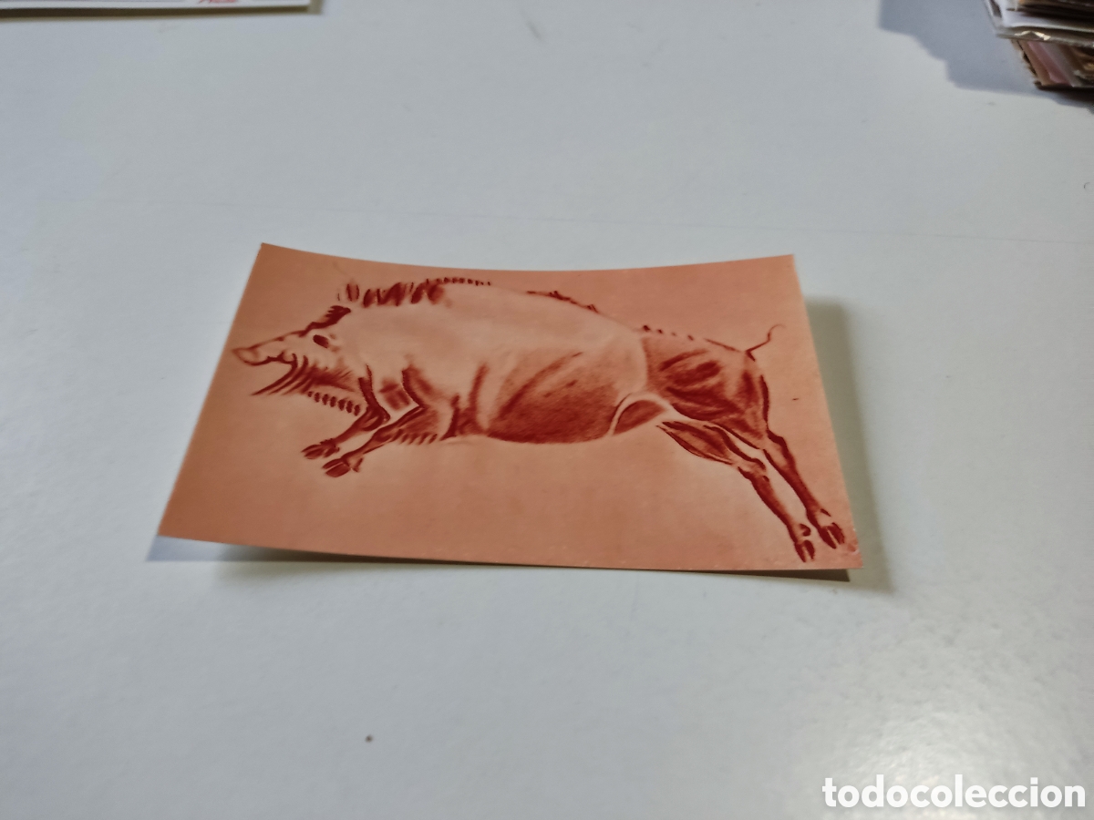Postales: Postal Arte prehist&oacute;rico,pintura rupestre