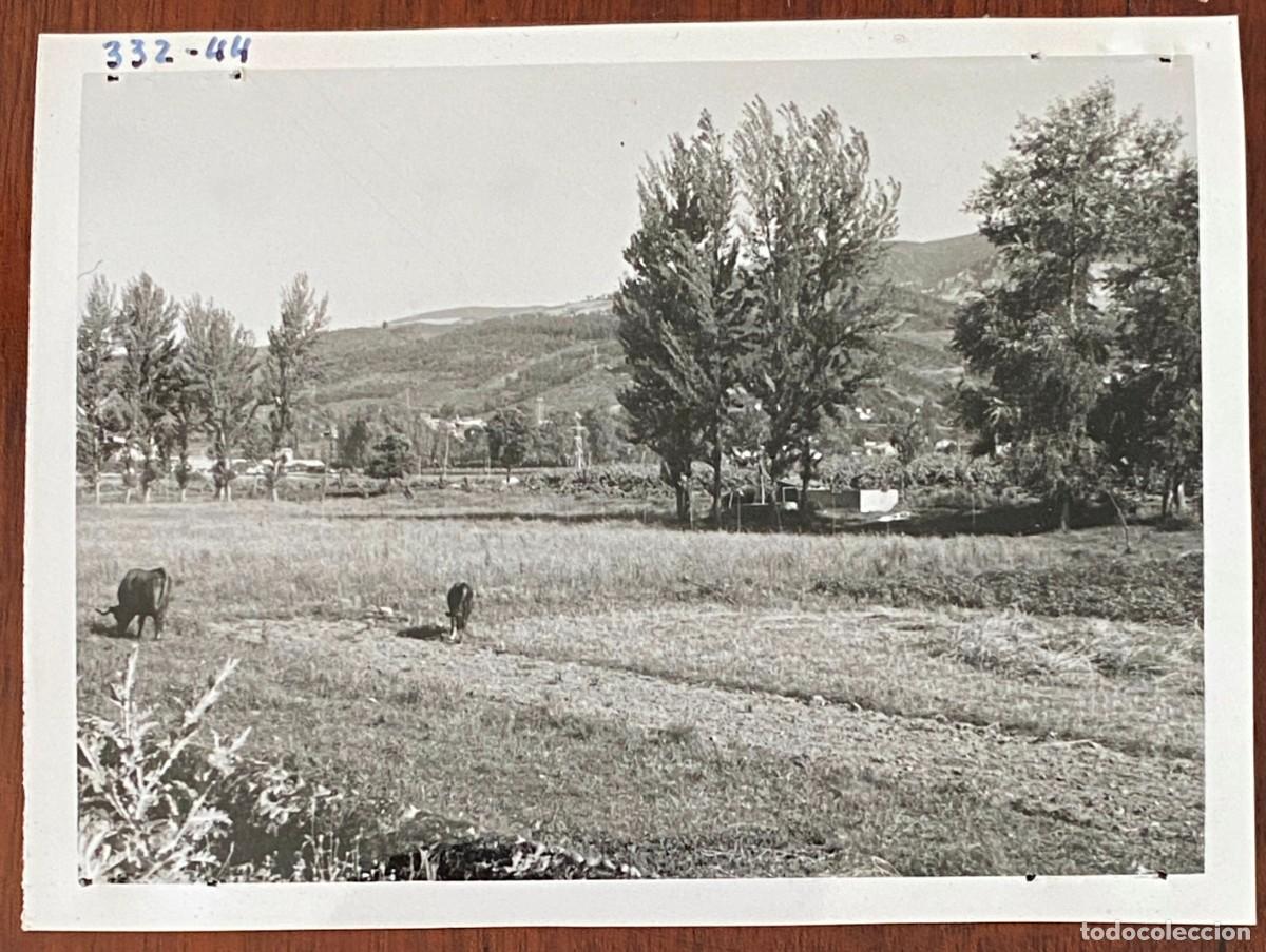 Postkarten: ANTIGUA FOTOGRAFIA DE SAN ESTEBAN DE VALDUEZA 1959 (LEON) , MIDE 11,5 X 8,8 CMS.