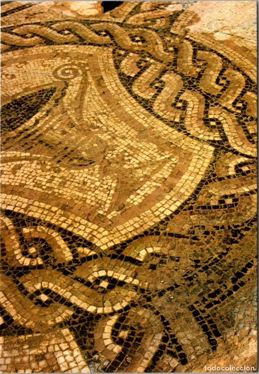 Postkarten: Ciudad Romana de Clunia - Mosaico de las cr&aacute;teras de la casa n&ordm; 3 - Diputaci&oacute;n 16 - 149x103mm