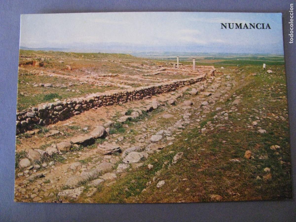 Postales: POSTAL DE NUMANCIA. CALLE V. ED. SKORPIO.