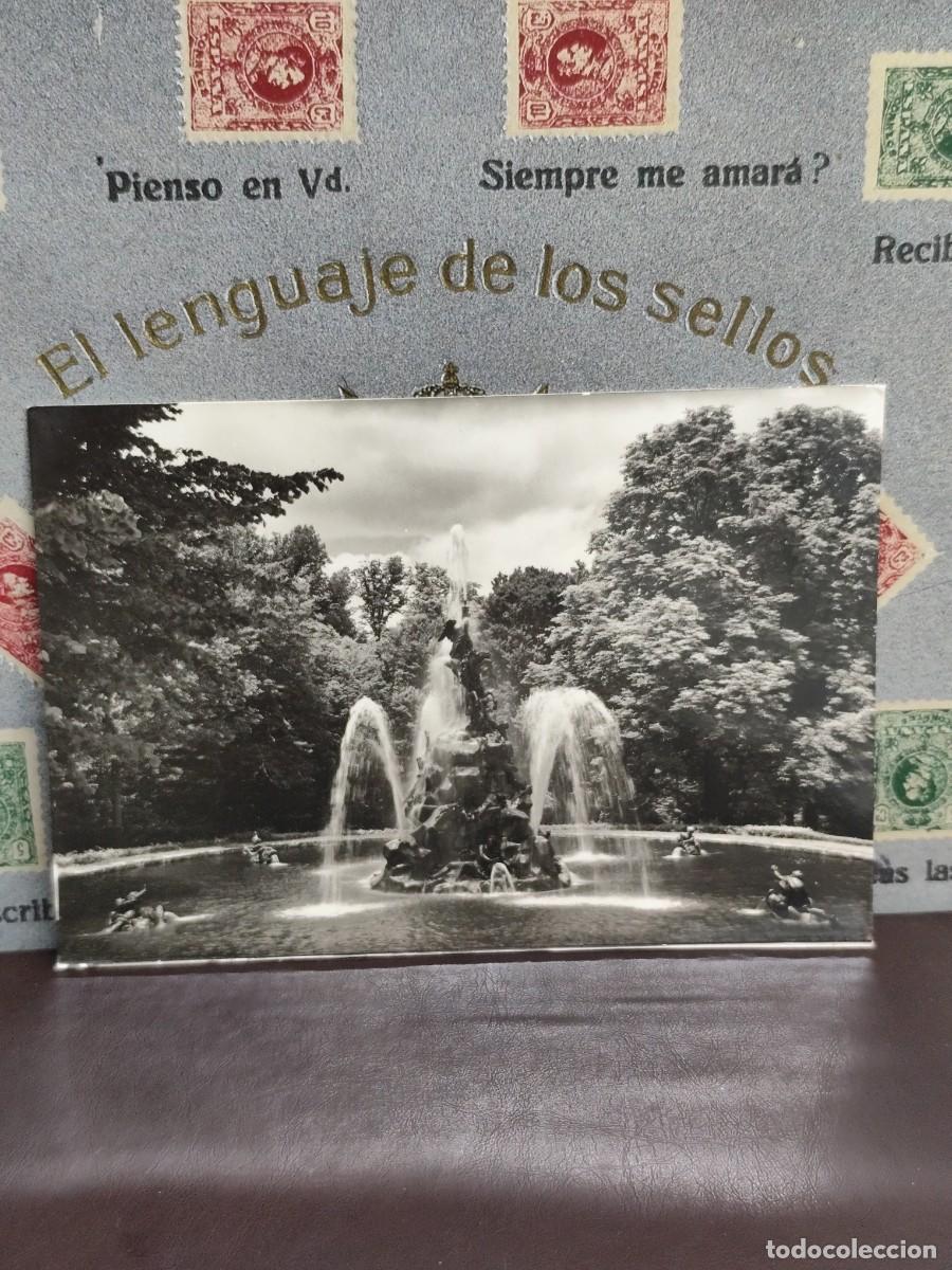 Cartes Postales: P4155 Postal La Granja de San Ildefonso 6 Fuente de la Fama . Patrimonio Nacional