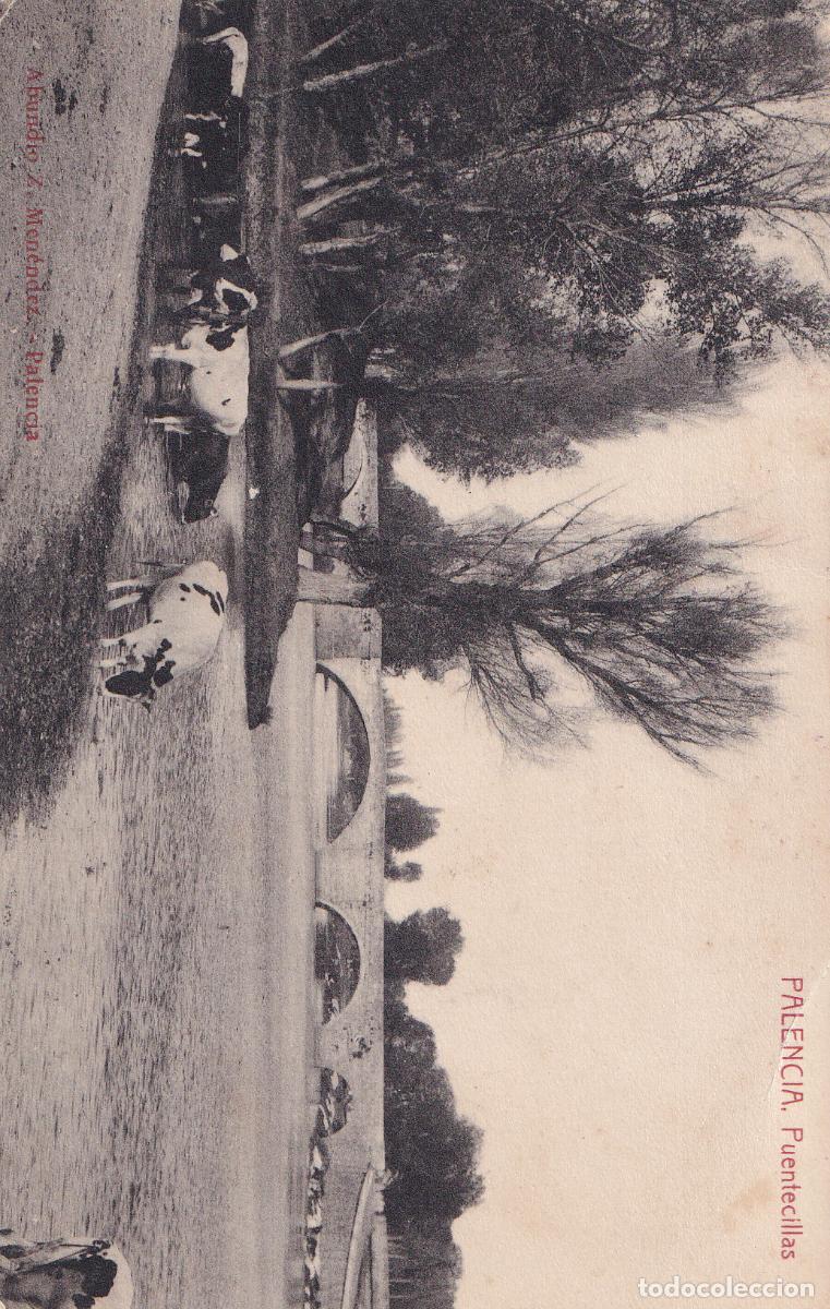 Postales: PALENCIA PUENTECILLAS - Foto 1