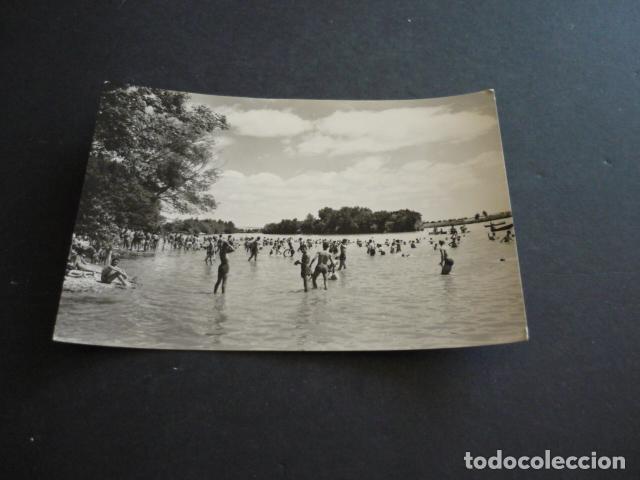 Postales: ZAMORA PLAYA EN EL DUERO - Foto 1