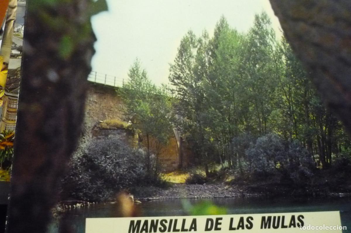 Postales: postal mansilla de las mulas rio esla - Foto 1
