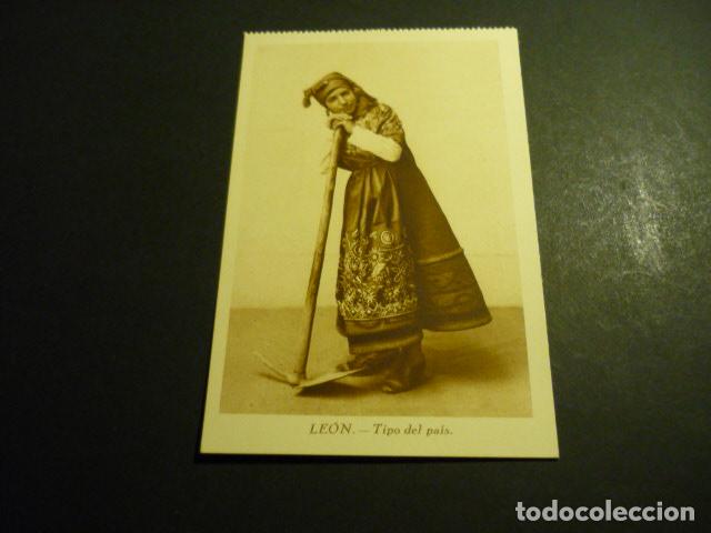 Postales: LEON TIPO DEL PAIS LABRADORA - Foto 1