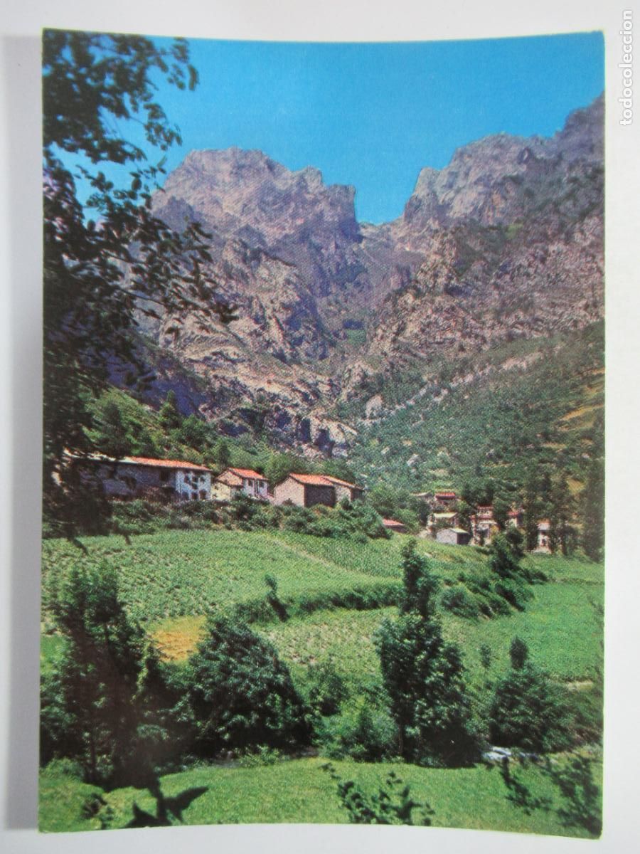 Postales: Ca&iacute;n (Le&oacute;n) - S/C -- - Foto 1