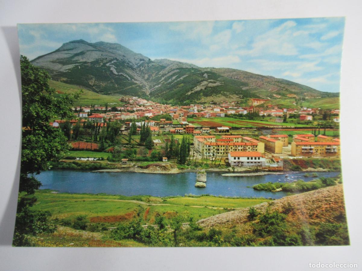 Postales: Cistierna (Le&oacute;n) - Vista panor&aacute;mica y r&iacute;o Esla - S/C