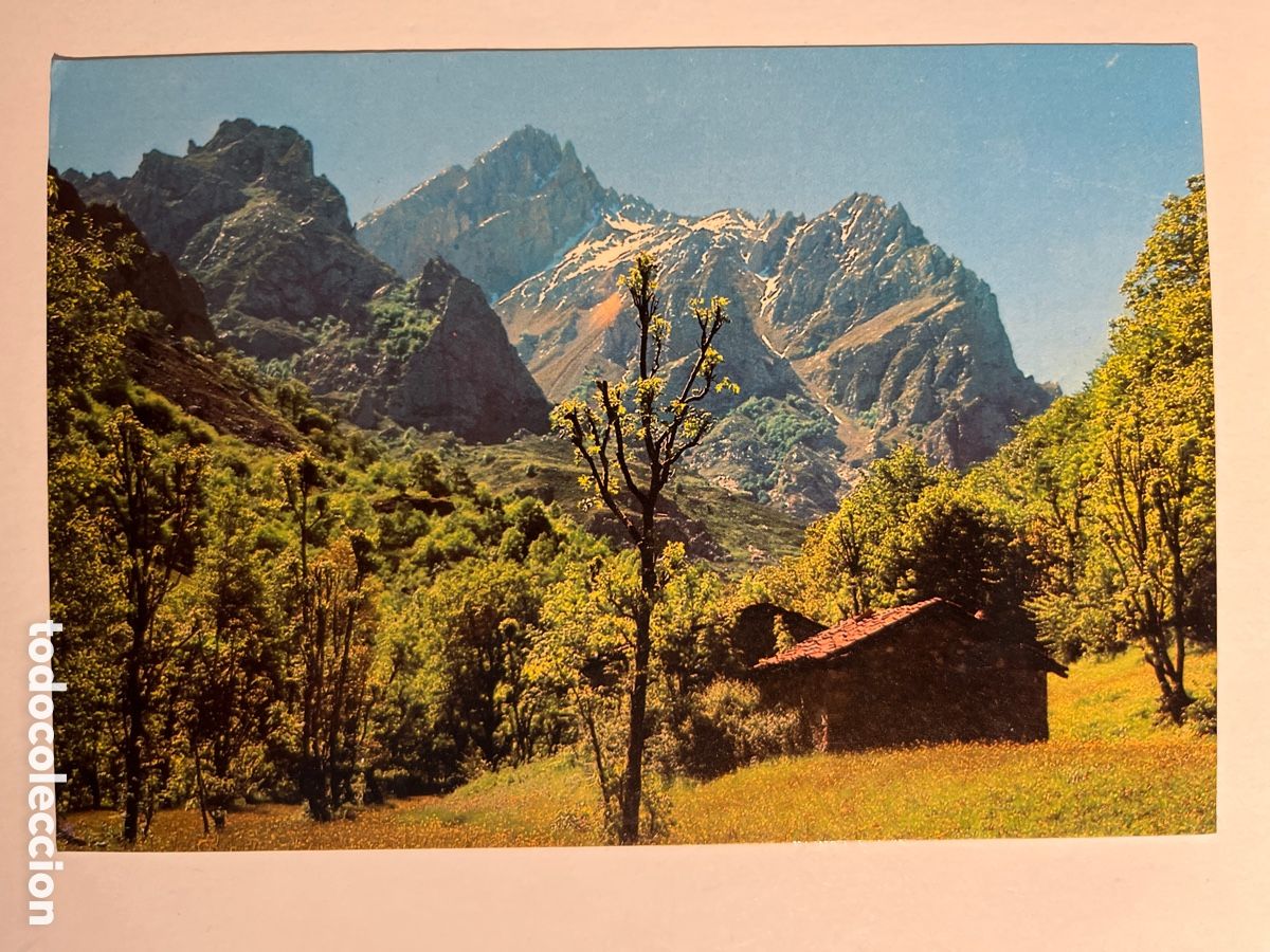 Postales: POSTAL. La Peguera. Camino de Posada de Valde&oacute;n a Cain.