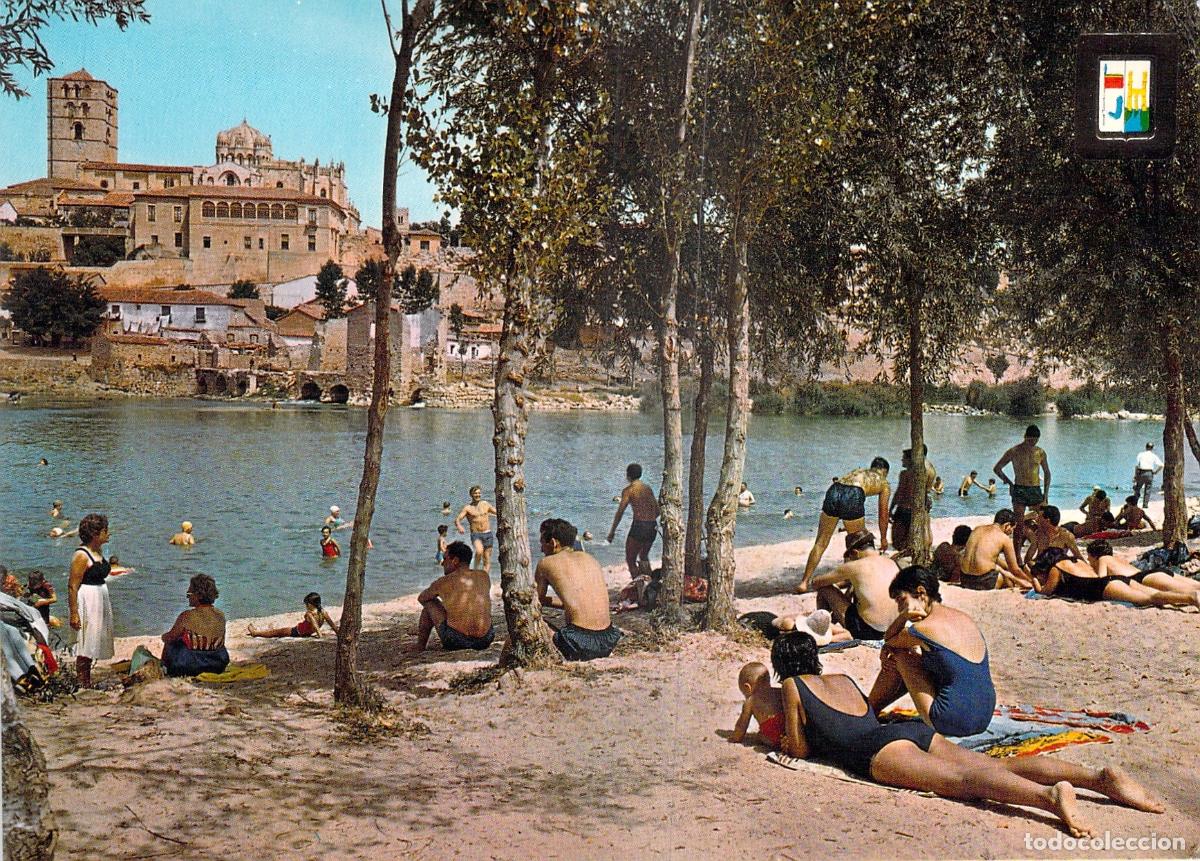 Postales: Postal de Zamora, Playa Benidorm y Catedral al Fondo