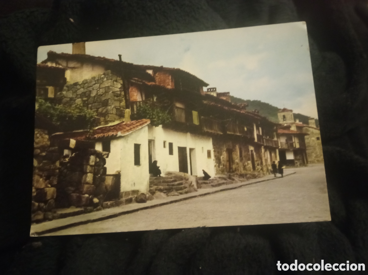 Postales: Antigua postal fotogr&aacute;fica de Piedralaves(&Aacute;vila) , Casas de Castor Robledo
