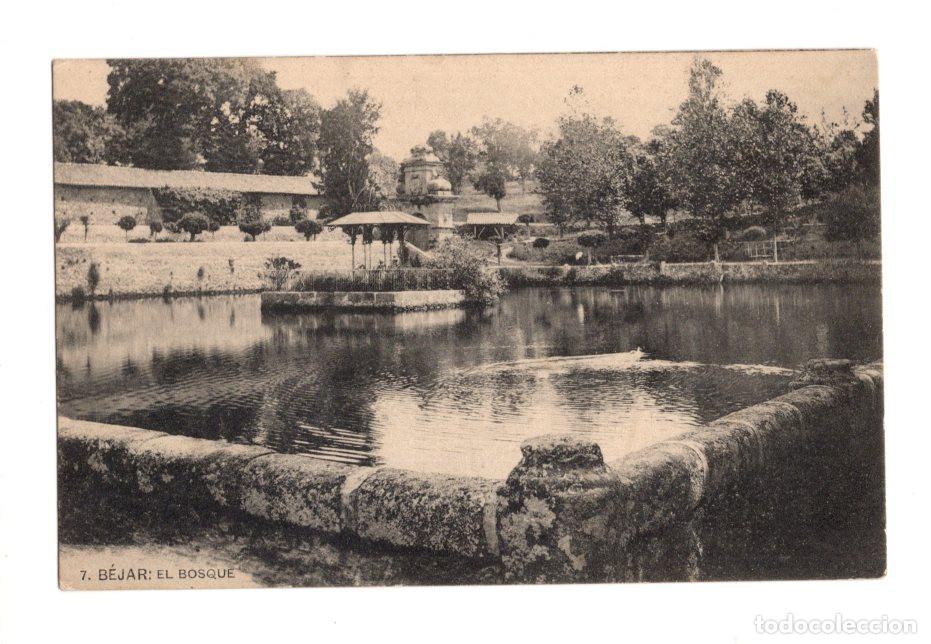 Postales: B&Eacute;JAR.(SALAMANCA).- EL BOSQUE.