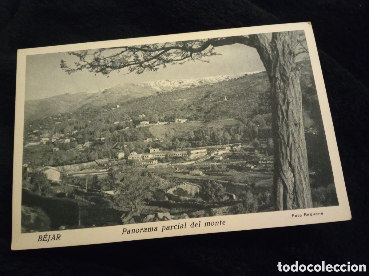 Postales: Antigua postal fotogr&aacute;fica de Bejar, Panorama Parcial del monte