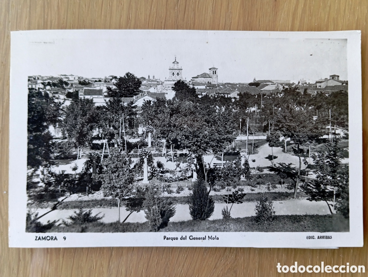 Postales: POSTAL ZAMORA PARQUE DEL GENERAL MOLA ARRIBAS 9 SIN CIRCULAR